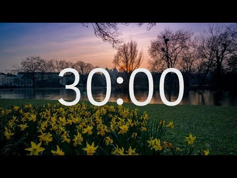 30 Minute Timer with Relaxing Music: Spring Flowers Theme