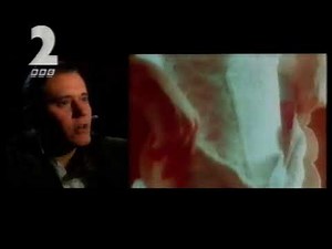 BBC2 Continuity - Sunday 19th December 1993