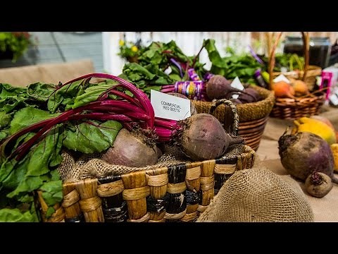 How to Grow the Perfect Beet