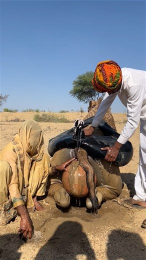 تعلمنا الحياة أن الأسباب مهمة لكن الذي يمنحها أثرها هو الله فإذا أراد حفظًا هيأ له ألف سبب ترند