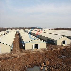 [Hot Item] Tunnel Ventilated Steel Structure Poultry Building Broiler Chicken Farming Equipment