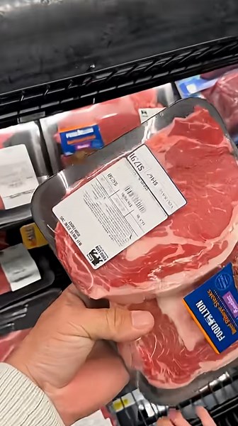 Food Lion grocery finds everyday deals and delicious food favorites