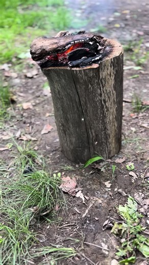 No swedge block no problem just burn yourself a dishing log ##backwoodsguy##foryou##freehugs##kiltsoftiktok##bamboouwu##weldernation##imaprofessional##blacksmith##handmade##blacksmithing