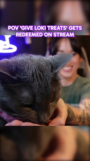 Adorable Loki's Best Channel Point Redemption Moments