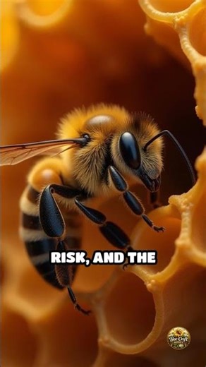 How Bees Outsmart Predators Every Day