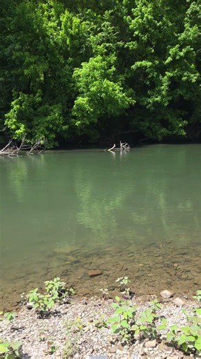 Beautiful spring day down by the Tug Fork River in Merrimac Bottom, WV.