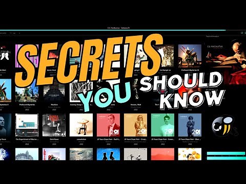 Solve common MusicBee issues now!