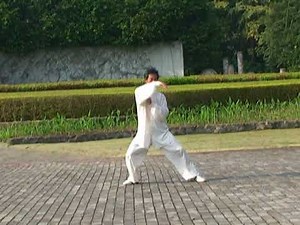 Xin Yi Liu He Ba Fa (Water Boxing) Part 1