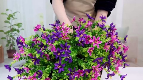 ZINUS 10 Inch Queen Green Tea Memory Foam Mattress [New Version], Fiberglass Free, Medium Firm Feel, Zoned Pressure Relief, Certified Safe Foams & Fabric, Mattress in A Box