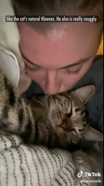 Dealing with Cat Colds: Tips and Advice for a Speedy Recovery