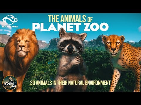Planet Zoo Animals In Their Natural Habitats ¦ Planet Wild