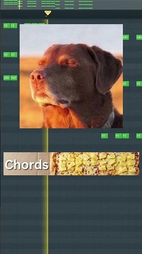 Bro Cooked On A PIZZA!?!?🔥😭#flstudio #musicproducer #producer #fyp #short #usa