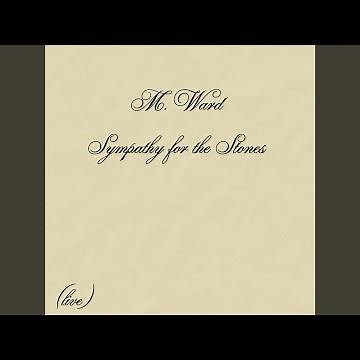 Sympathy for the Stones (Live)