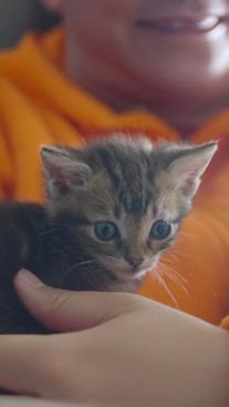 Voix emblématique de notre spot "Compagnons SPA", Michèle Laroque se confie sur son lien fort avec la cause animale.​ Elle partage avec émotion son attachement profond à Matcha, son fidèle compagnon, et réaffirme son engagement aux côtés de la SPA dans la lutte contre la maltraitance et l’abandon des animaux.​ 🙏 ❤️ Vous aussi, agissez ! Rejoignez-nous en devenant Compagnon SPA et offrez un avenir meilleur à nos pensionnaires​ Ensemble, redonnons-leur ce qu’ils ont perdu : l’espoir. 👉 http://bi