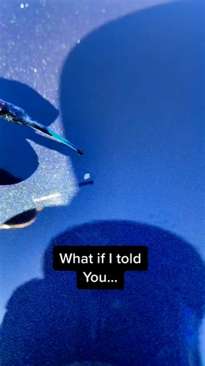 125K views · 745 reactions | What do you think of these results? Let me know if you want to see more panels dry! Shinycarstuff.com ✅ #fypviral #shinycarstuff #carrestoration #ceramiccoating #detailing #clearcoat | Shiny Car Stuff | Facebook