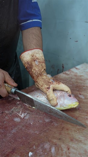 Golden Threadfin Bream Clean