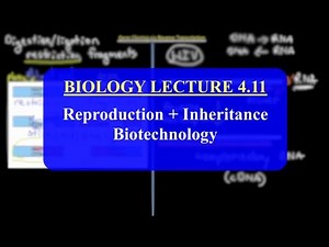 IMAT Biology Lesson 4.11 | Reproduction + Inheritance | Biotechnology
