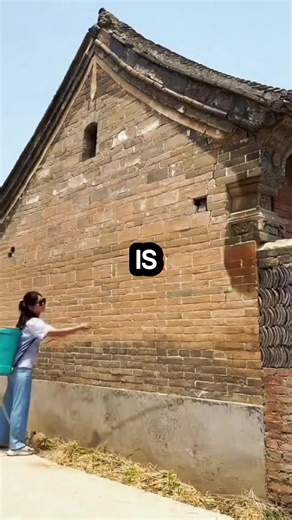 Mystery of the Yellow Jeep: Who is the Boss Bitch?