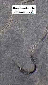 Hand under the microscope🔬 #experiements #laboratory #science #microscope