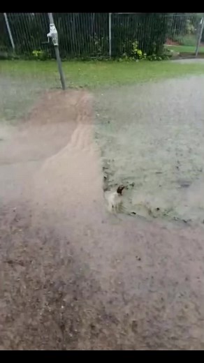 #greenscreenvideo #frog#frogs#frogsoftiktok#froggies#phrog#toad#toads#toadsoftiktok#tadpoles#frogeggs#budgettsfrog#pacmanfrog#rainfrog#milkfrog#pixiefrog#bullfrog#bullfrogs#glassfrog#greenfrog#hornedfrog#ribbit#creek#water#stream#river#lake#pond#bog#nature#africanbullfrog#africanbullfrogs#animals#animalsoftiktok#monkeyfrog#frogspawn#spawn#pet#petfrog#amphibians#reptile#bug#bugs#froggy#frogsontiktok#dumpy#dumpytreefrog#dumpytreefrogs#frogsoundchallange#frogsong#exoticcreatures