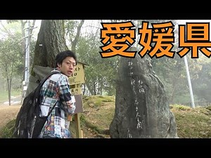 New program "Travel Tour of 46 Prefectures Across Japan!" Ehime Prefecture edition!