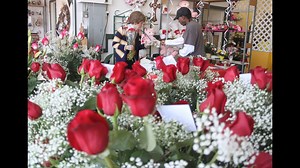 The meaning behind each color of roses