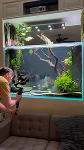 Alex @tanktested in the house! 🙌🙌🙌 | TMK Aquarist