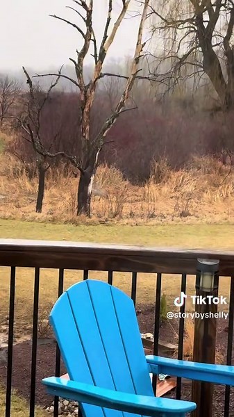 Mom there’s an intruder!! Sound the alarm