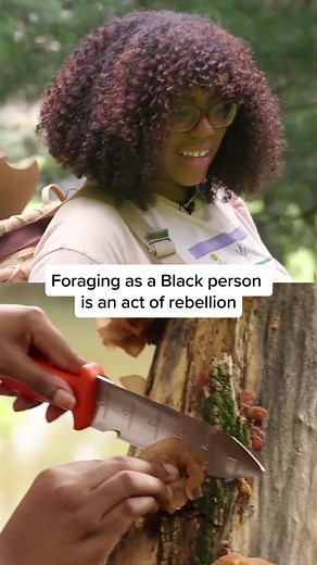 Here’s why foraging as a Black person is an act of rebellion, ft. @alexisnikole. #BlackForager #BlackForagers #BHM