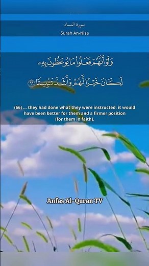 Surah An-Nisa Ayat 66-68 For Peace Of Mind #surahnisa #quran #islamicreminders #anfasalqurantv #yt