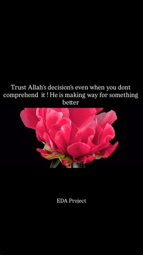 Instagram video by EDA Project • Oct 27, 2025 at 12:11 PM