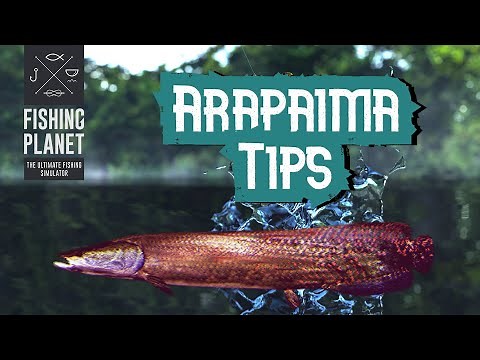 Fishing Planet : Arapaima Guide - Amazonian Maze