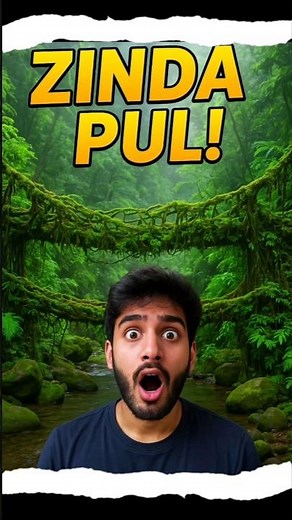 Living Root Bridges — Meghalaya's Zinda Pul (Explained)
