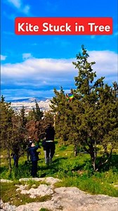 Kite Stuck in Tree – A Fun and Unexpected Challenge!
