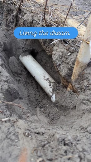 Blue Moon Tropicals on Instagram: "2 burst pipes = wishful thinking 🥲 pressure test today revealed that essentially every pipe in our back greenhouses were compromised. Lines that were supposedly decommissioned were still pressurized and that hadn't given me issues in the past 4 years. Well, it got just cold enough to split so many it's better to dig the main line up and cap it. I'm no plumber, but I've got plants to water, so I cut right into it and let the entire system drain out. I'll be bac