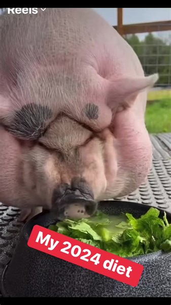 My 2024 Diet | Positive Affirmations by Vonda Evans