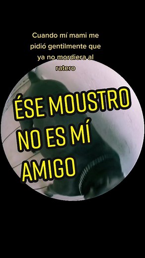 #libredeser #pareja #tiktokamplify #pov #creadoresdelmañana #gelatino #mlbb #treanding #fyp #foryou #parati #cuidemonosmucho💜🙏💜