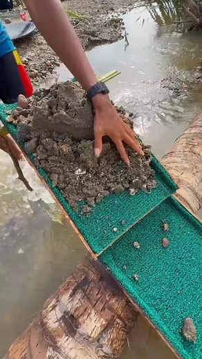 Gold Mining Highlights: White Gold, Sovereigns & Extraction
