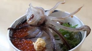 Mengenal Katsu Ika Odori Don, Sajian Gurita ala Jepang yang 'Menari-nari' Ketika Disantap - Tribun Travel