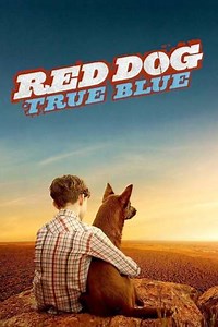 Red Dog: True Blue Streaming - Where to Watch Online