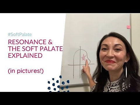 Resonance and the Soft Palate Explained (In Pictures!)