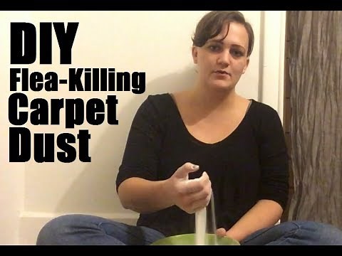 DIY Flea-Killing Carpet Dust