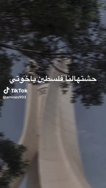 فلسطيني وافتخر: أجواء الحشوة والتشجيع