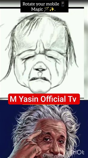 🔄 Magic Illusion Portrait – Baby or Father? #magic #science #karma