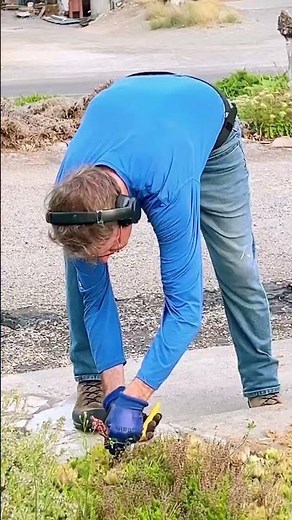 Grass Trimming #weedwhacking #trimming #yard #grass #efficient #maintenance