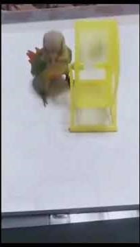 Don't Shoot I'm with the science team!