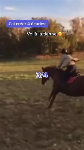3/4 🥰 #equestrian #horsegirl #équitation #sautdobstacle #cso #aesthetic #cheval_de_france