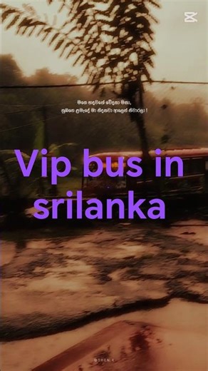 sri lanka vip bus