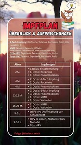 IMPFPLAN ÜBERBLICK! 💉😷 #impfen #impfungen #shorts #viralshorts #deutsch #gesundheit