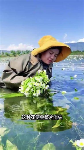 Eating Flowers in Water: The Surprising Delicacy Unveiled